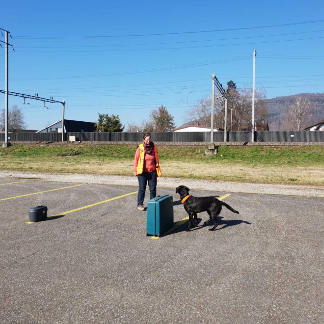 Geruchsdifferenzierung (12.9.26)
