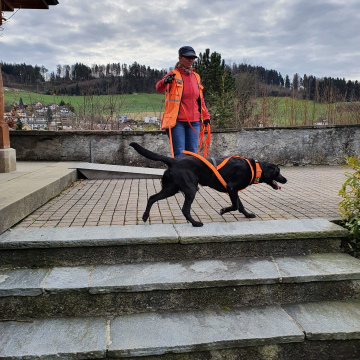 Intensivtraining (18.10.26)