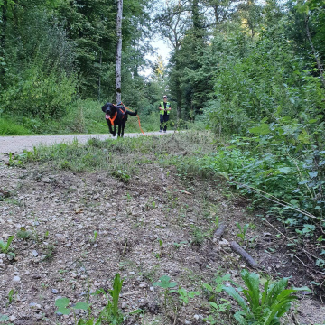 Trails XXL (22.3.26)