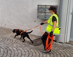 Infos zum Mantrailing