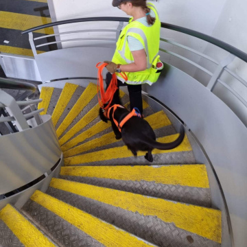 Videoanalyse (25.4.26)