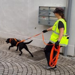 Abendtrailen Frühling (31.5.26)