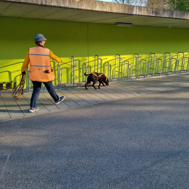 Blinde & Doppelblinde Trails (14.6.26)