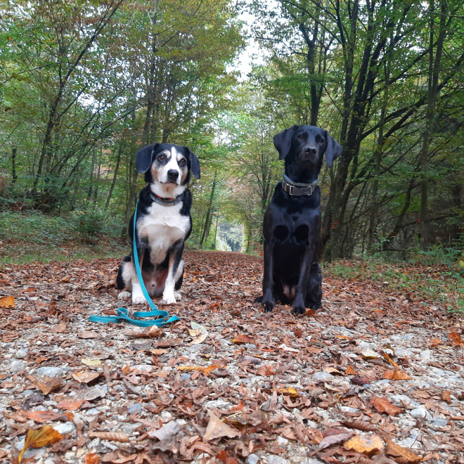 Trailen in Zofingen (24.10.26)